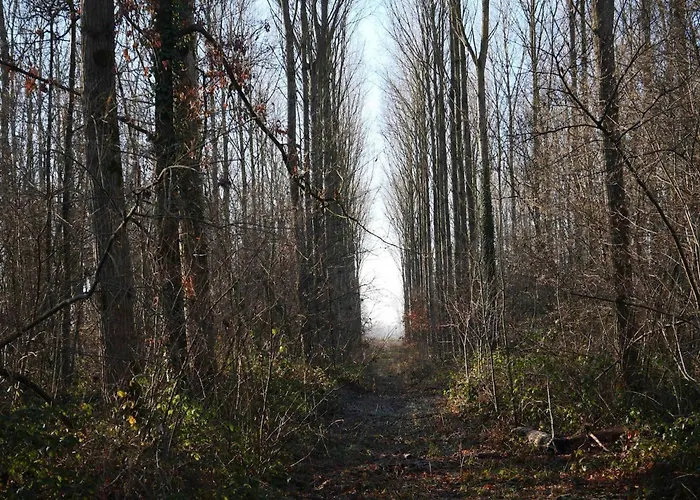 Dans Ecurie Renovee Avec Jardin Prive, Clim, Parking Et Wifi - Fr-1-510-150