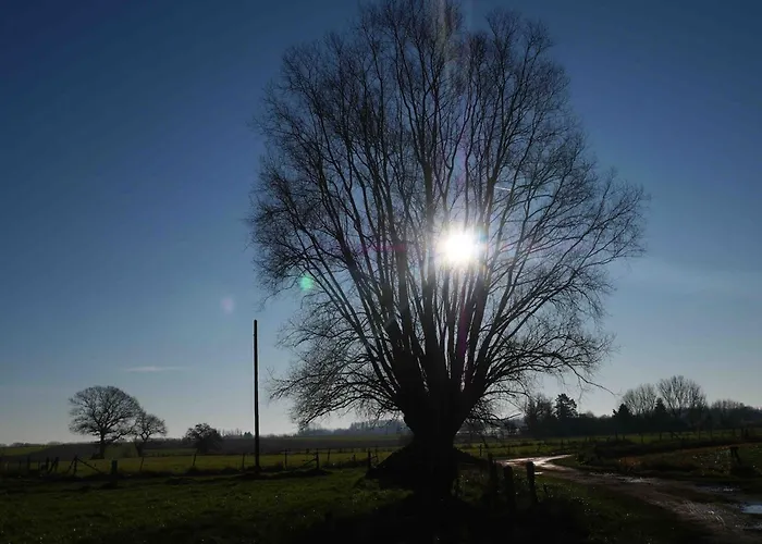 Ferienhaus Dans Ecurie Renovee Avec Jardin Prive, Clim, Parking Et Wifi - Fr-1-510-150